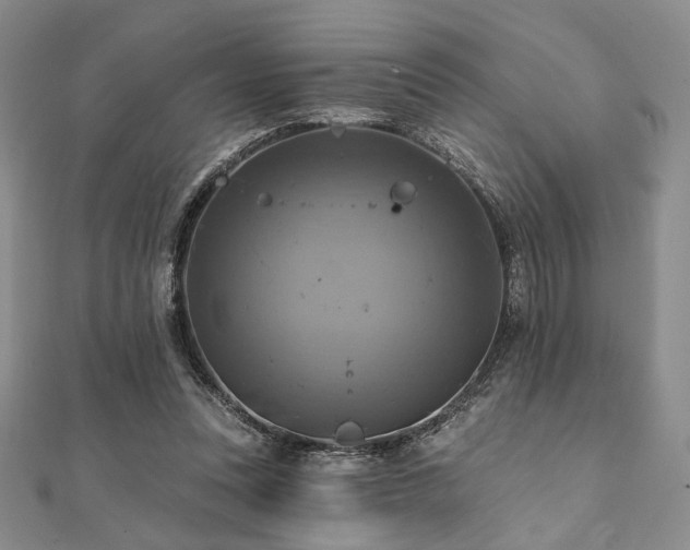 X0000112100351200908041516