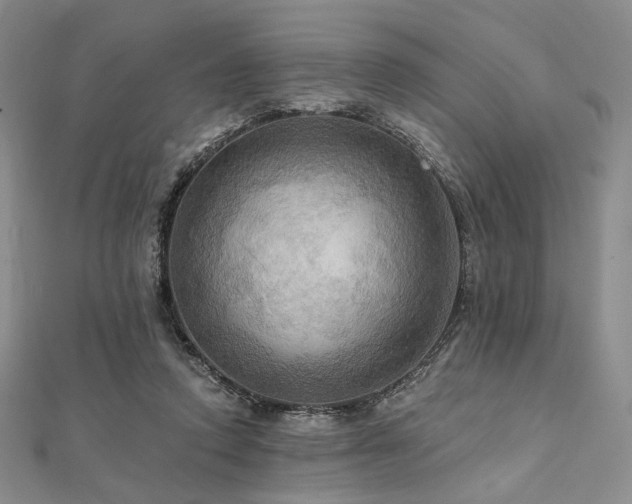 X0000112100354200908041516