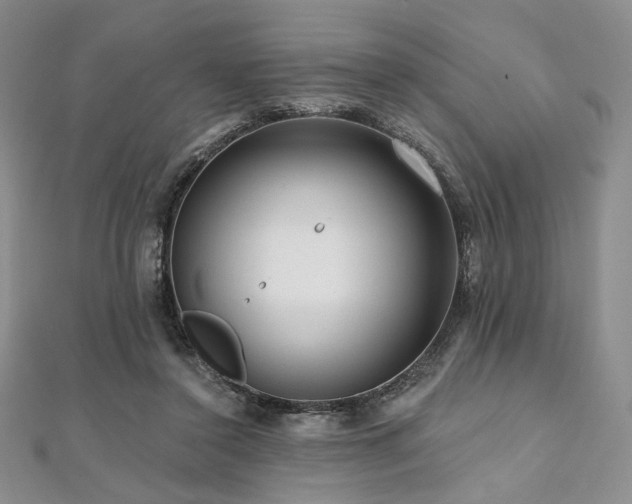 X0000112100356200908041516