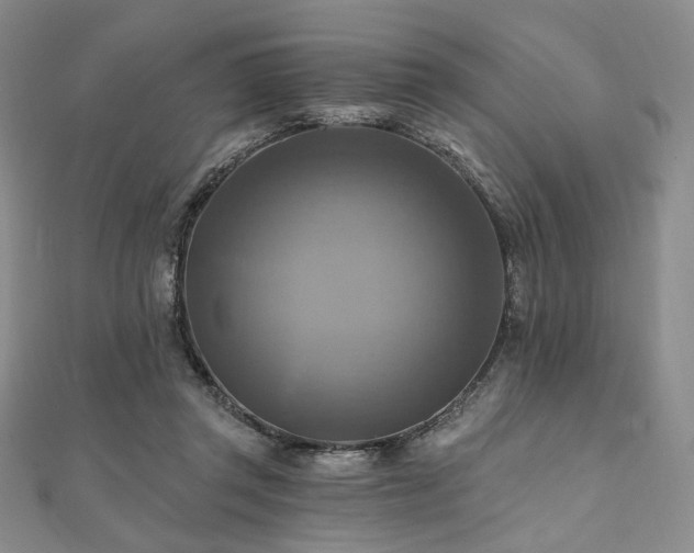 X0000112100357200908041516