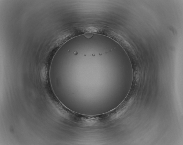 X0000112100359200908041516