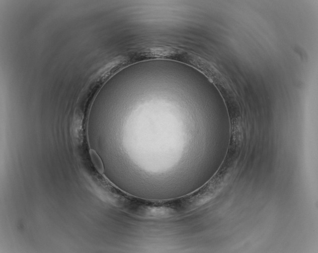 X0000112100360200908041516