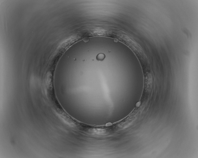 X0000112100361200908041516