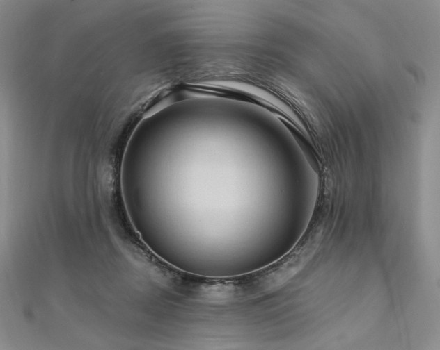 X0000112100362200908041516