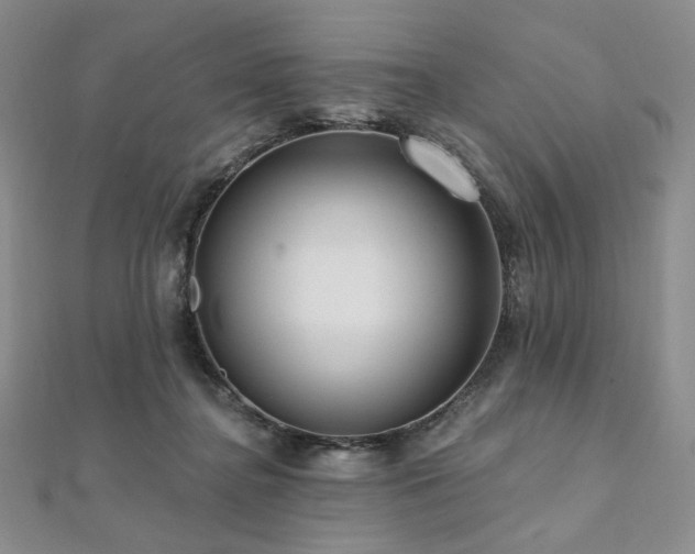 X0000112100364200908041516