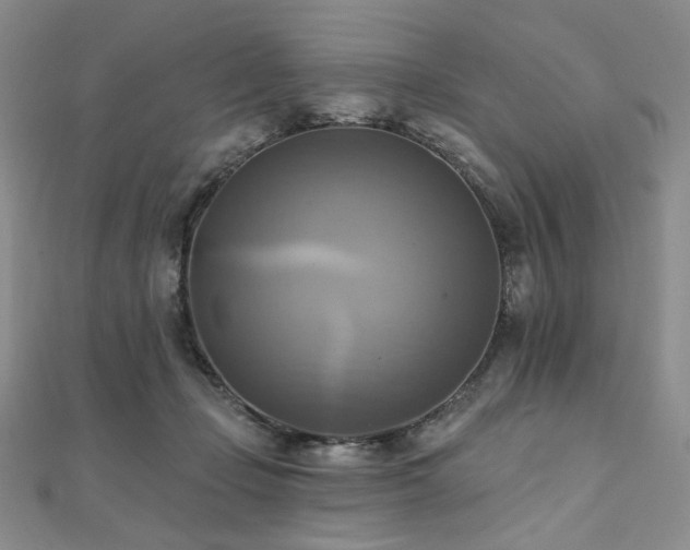 X0000112100365200908041516