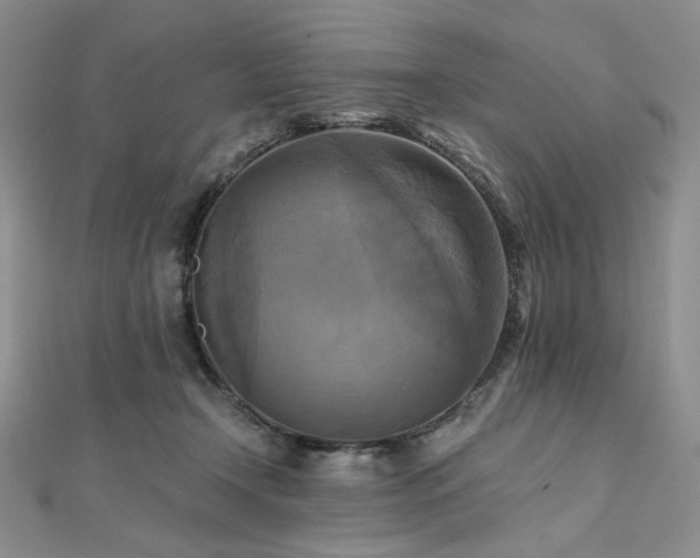 X0000112100366200908041516
