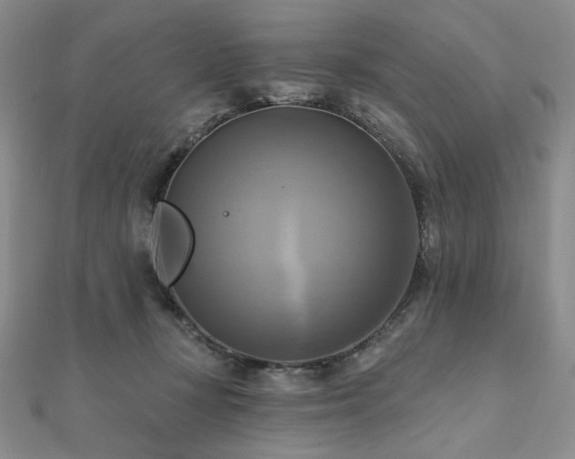 X0000112100367200908041516
