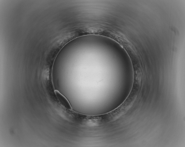 X0000112100368200908041516