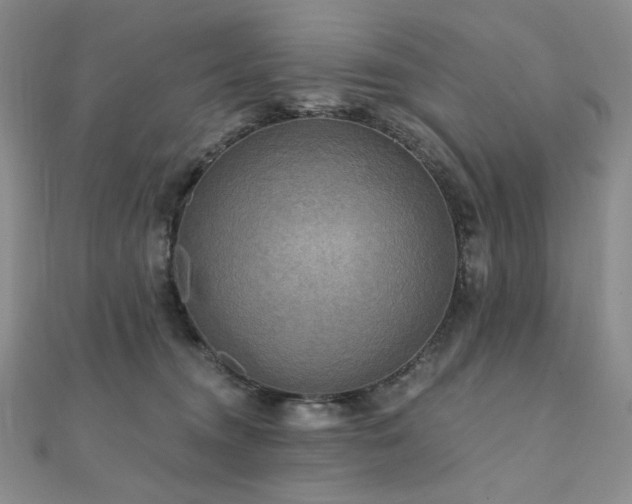 X0000112100372200908041516