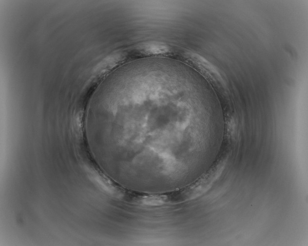 X0000112100373200908041516