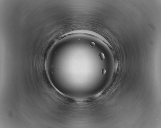 X0000112100376200908041516