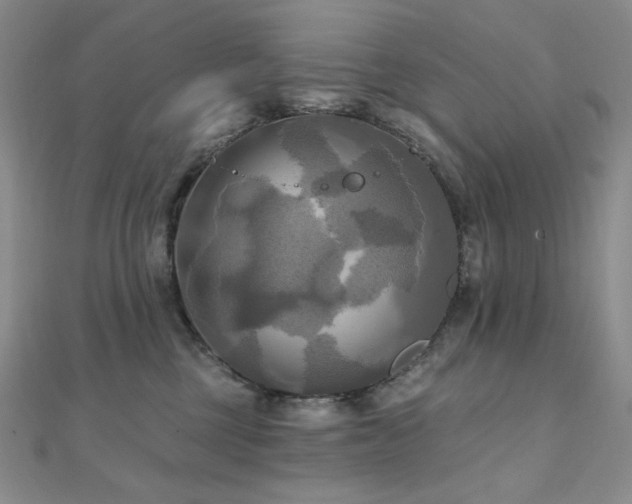 X0000112100377200908041516