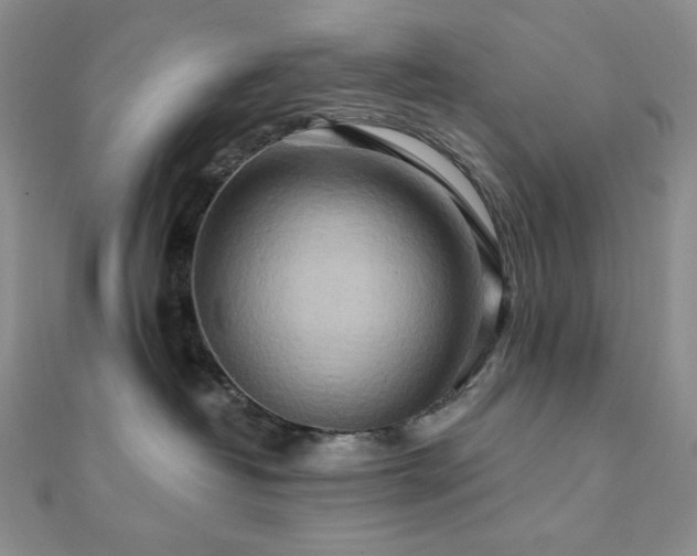 X0000112100382200908041516