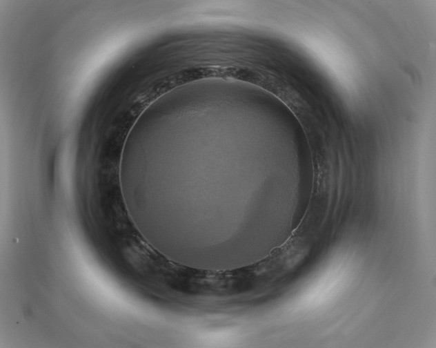 X0000112100383200908041516