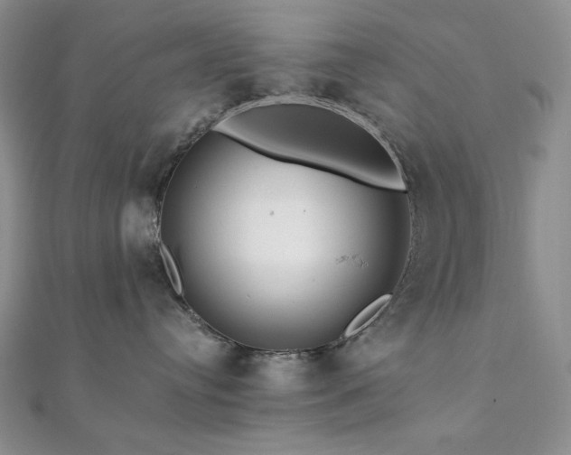 X0000112100384200908041516