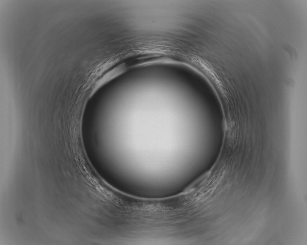 X0000112100385200908041515