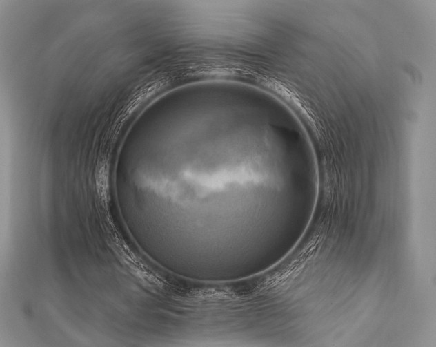 X0000112100386200908041515