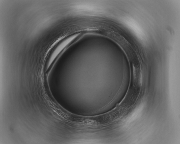 X0000112100387200908041515