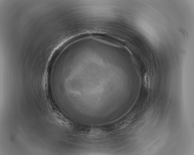 X0000112100388200908041515