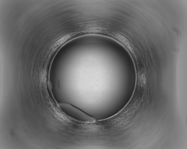 X0000112100389200908041515