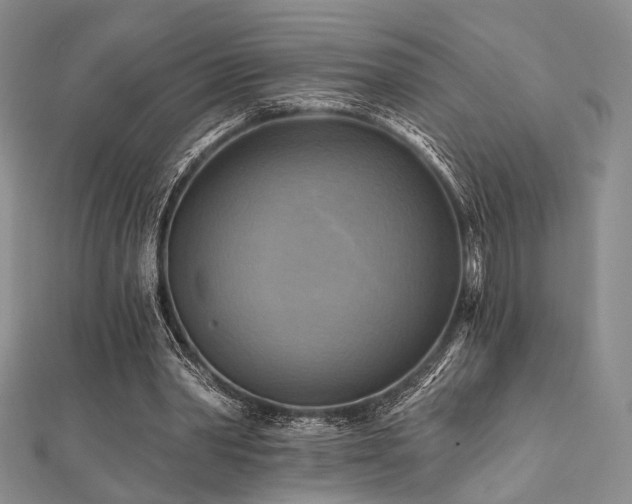 X0000112100390200908041515
