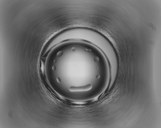 X0000112100391200908041515