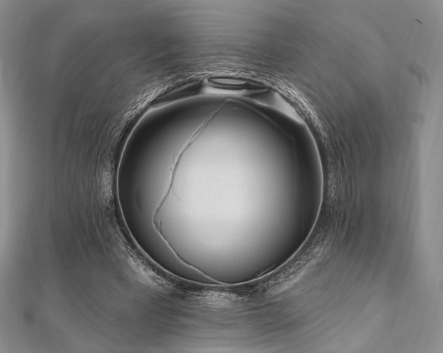 X0000112100393200908041515
