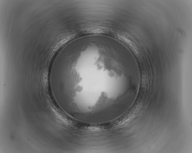 X0000112100394200908041515