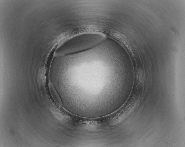 X0000112100395200908041515