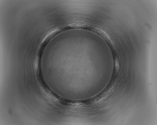 X0000112100396200908041515