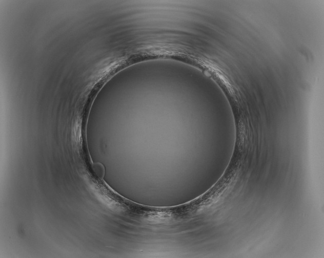 X0000112100398200908041515