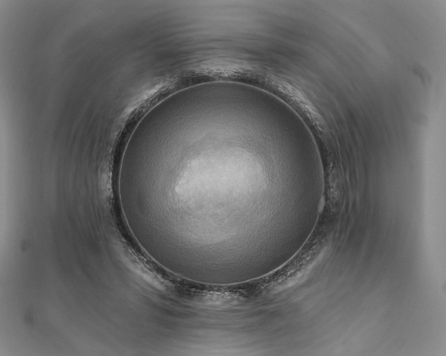 X0000112100399200908041515