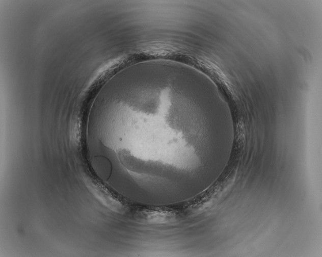 X0000112100400200908041515