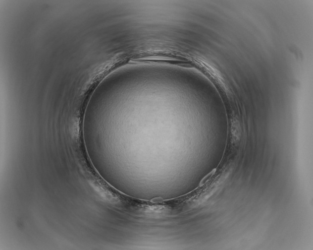 X0000112100401200908041515