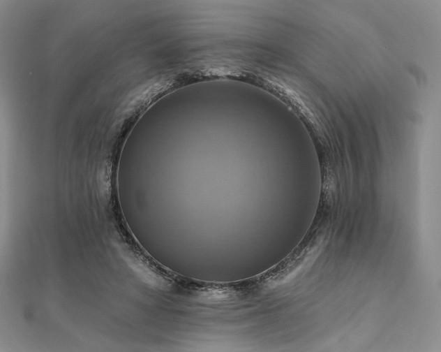 X0000112100402200908041515