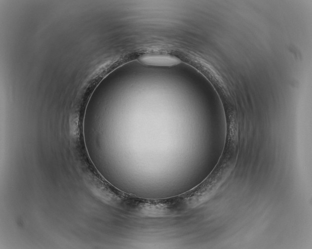 X0000112100403200908041515