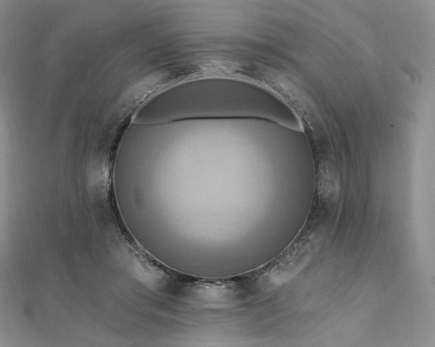 X0000112100405200908041515