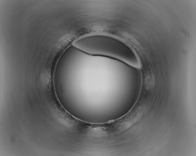 X0000112100407200908041515
