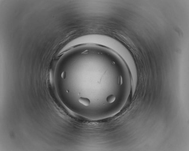 X0000112100409200908041515
