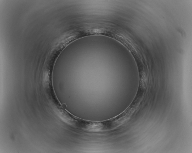 X0000112100410200908041515