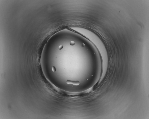X0000112100411200908041515