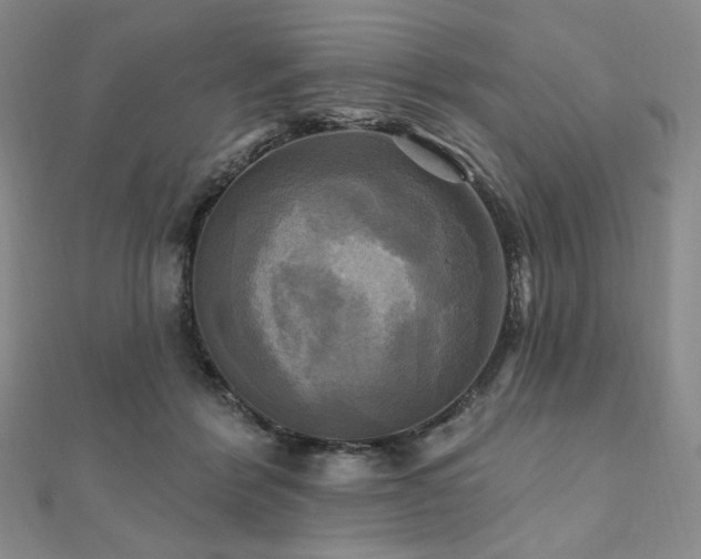X0000112100412200908041515