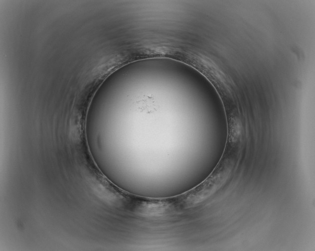 X0000112100414200908041515