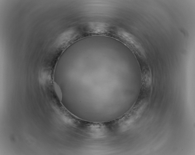 X0000112100415200908041515