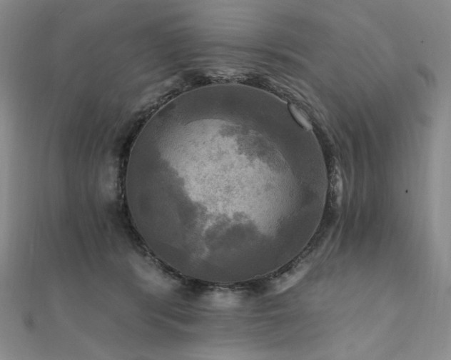X0000112100416200908041515