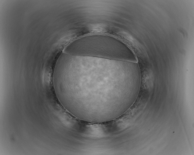 X0000112100417200908041515