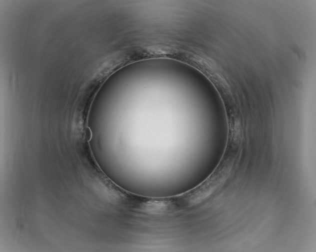 X0000112100418200908041515