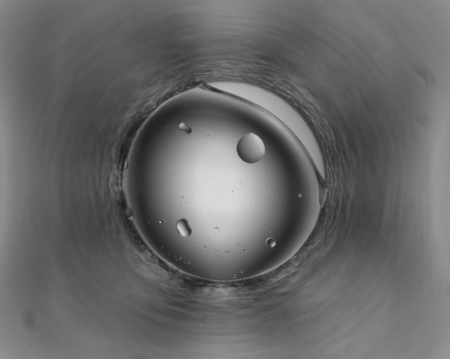 X0000112100419200908041515
