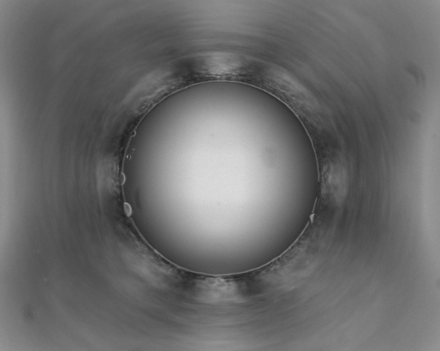 X0000112100421200908041515